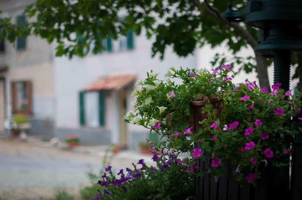 B&B Cascina Santa Gavi Ngoại thất bức ảnh