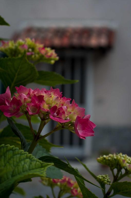 B&B Cascina Santa Gavi Ngoại thất bức ảnh